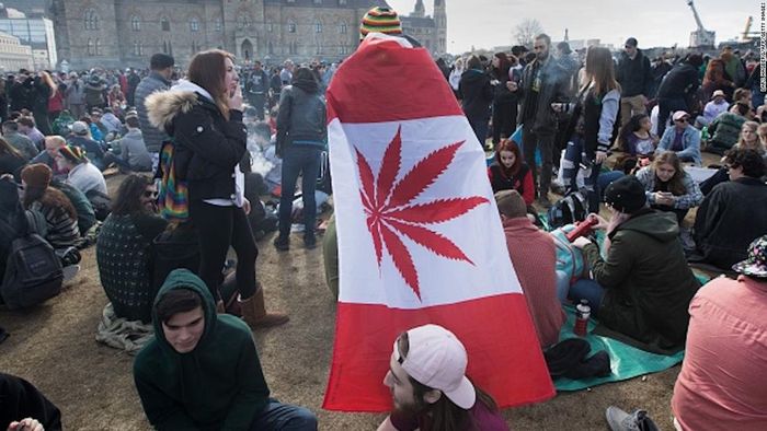 Beberapa negara telah melegalkan ganja