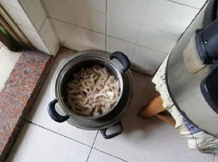 Usus ayam tersebut telah dicuci