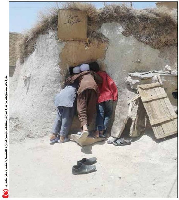 (Twitter/@irannewspaper)