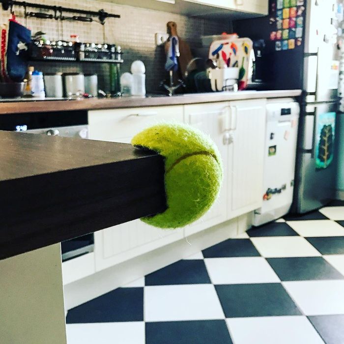 instagram.com/punkzdad
