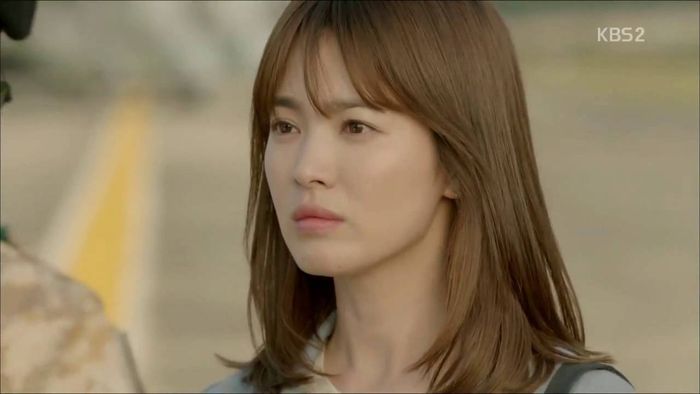 Descendants of The Sun