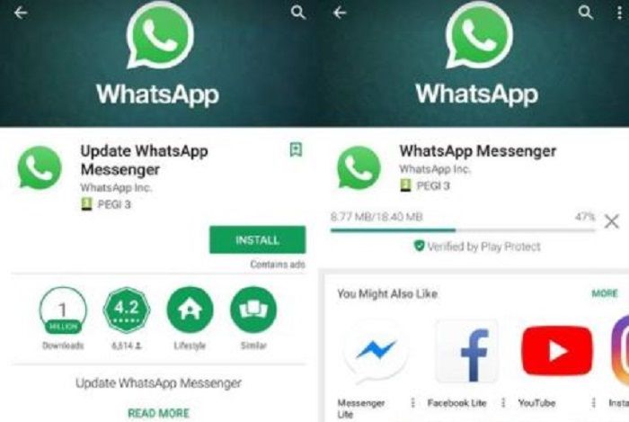 WhatsApp palsu