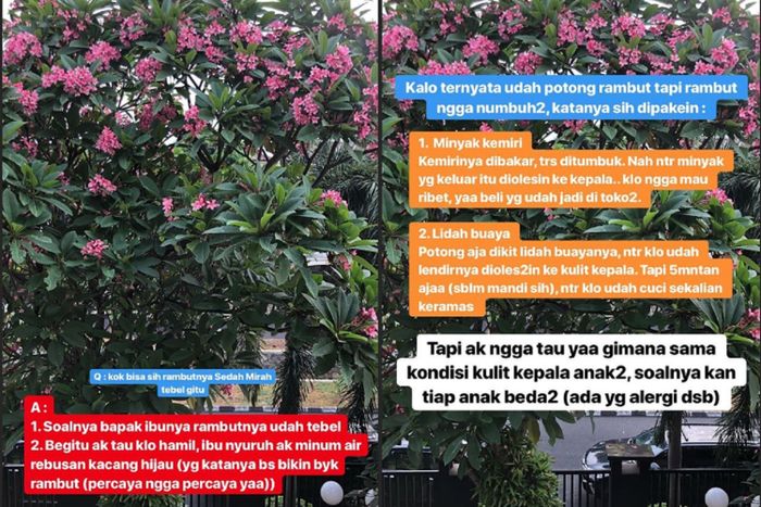 Rambut Tebal Berkilau Sedah Merah Banjir Pujian, Kahiyang Ayu Pakai Resep Tradisional!