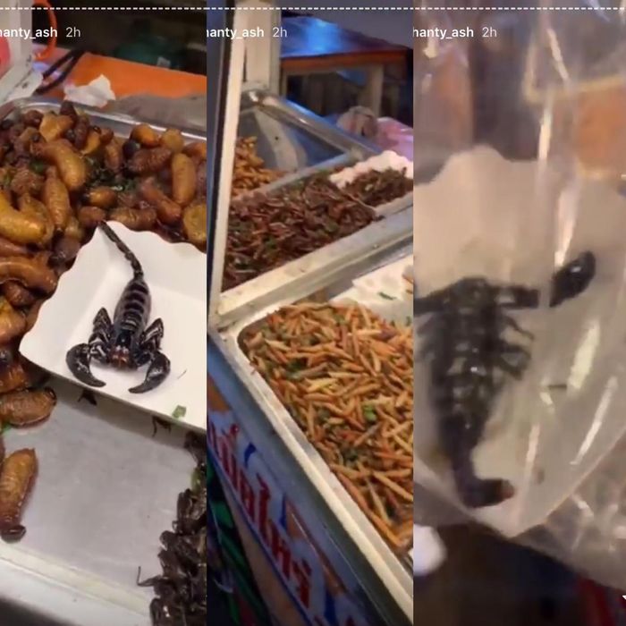 Serangga goreng yang dijual di Thailand