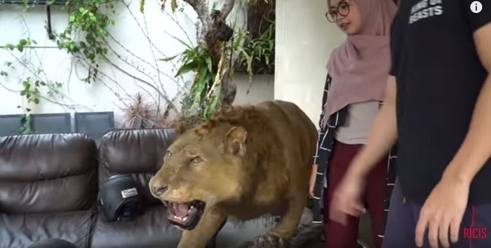 Patung hewan yang ditaruh Baim di depan rumah
