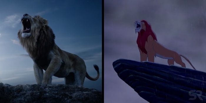Disney