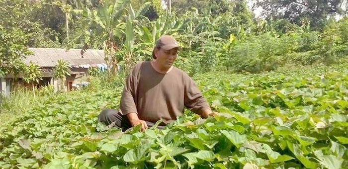 Rumah wiro sableng (ken ken)