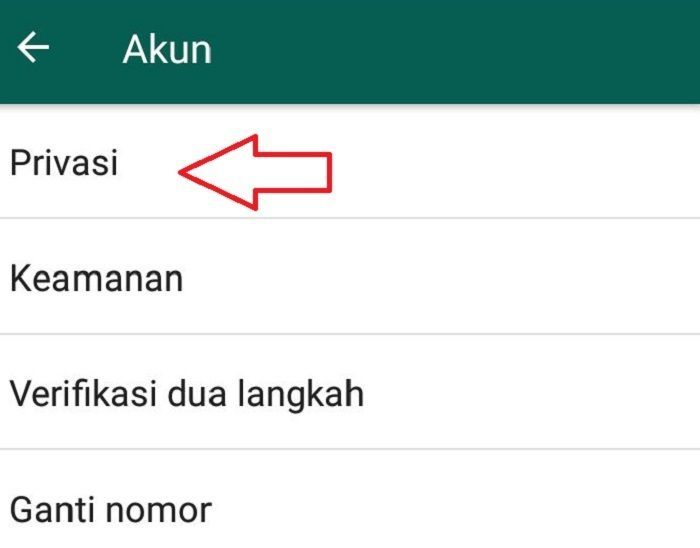 Mau Lihat Status Whatsapp Teman Tanpa Ketahuan Pemiliknya Begini