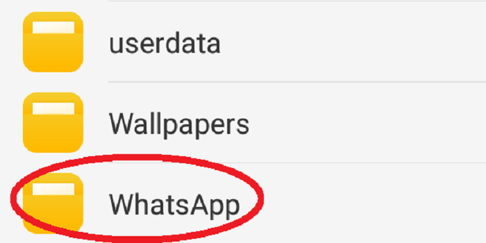 buka whatsApp