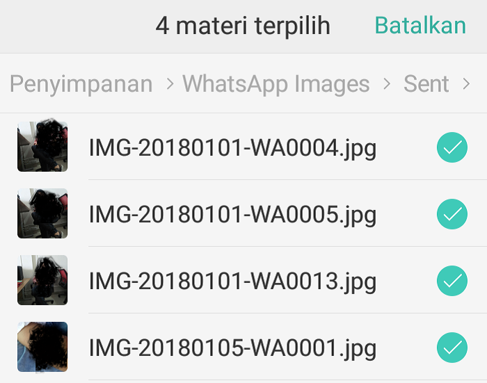 hapus foto yang sudah dikirim