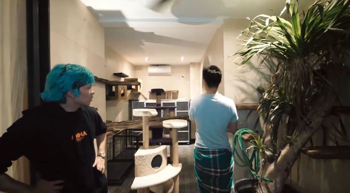 Furniture untuk kucing kesayangan Baim Wong (Youtube Atta Halilintar)