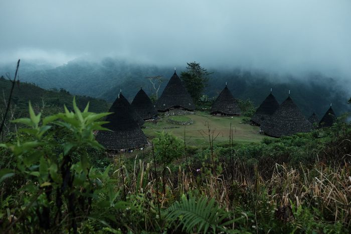 Kabut tipis menyelimuti Wae Rebo yang juga kerap disebut sebagai 'desa di atas awan'.