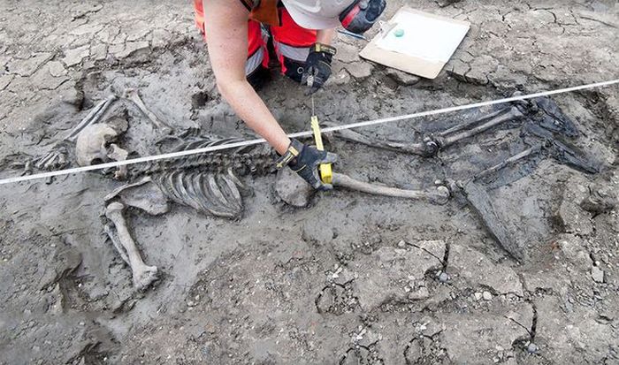 Kerangka yang ditemukan di sungai Thames.