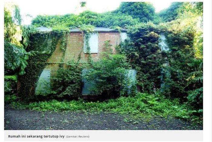 Rumah ini sudah dipenuhi rerumputan di sekelilingnya