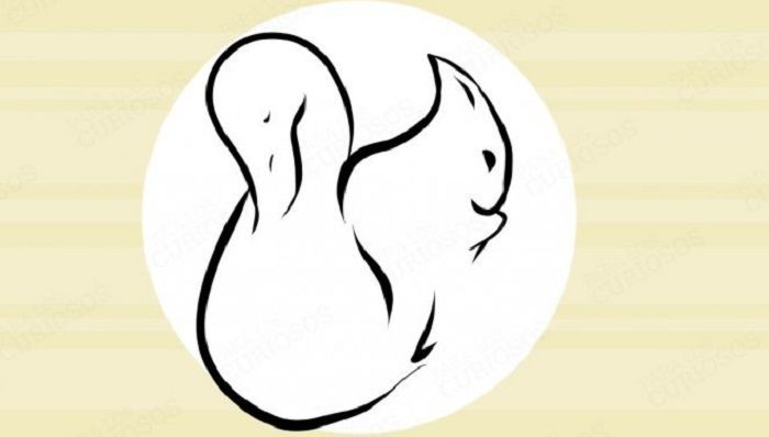 Tes Kepribadian, Angsa atau Tupai
