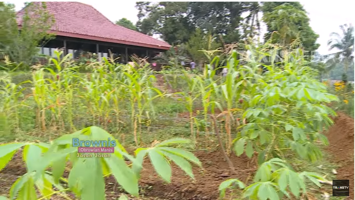 Kebun luas di vila Ruben Onsu