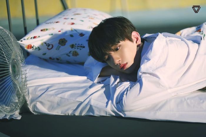 Joshua 'SEVENTEEN'