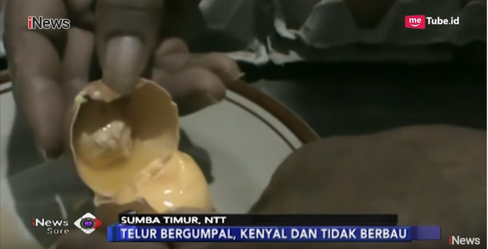 Pedagang dibuat resah dengan beredarnya telur ayam rekondisi dan palsu