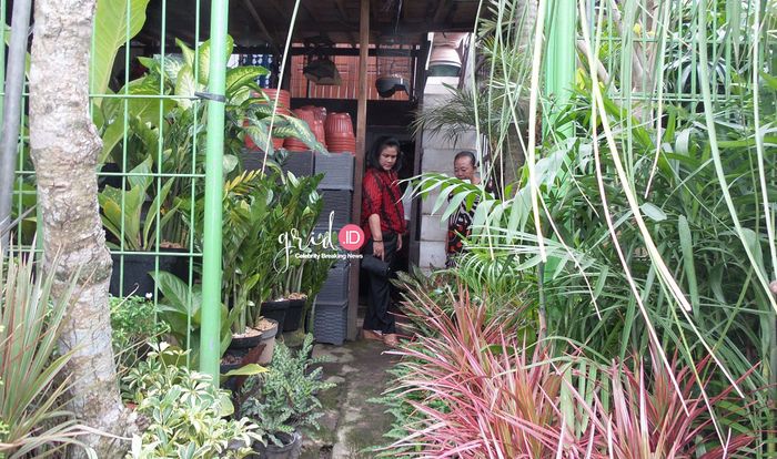 Tanaman Hias Pasar Nongko Solo