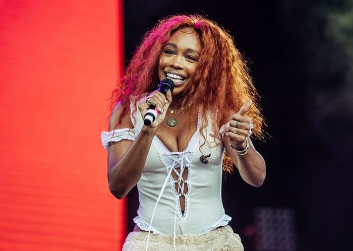 warna <a href='https://pontianak.tribunnews.com/tag/rambut' title='rambut'>rambut</a> jenis copper