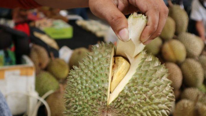 vitamin c dan lemak baik terkandung dalam durian