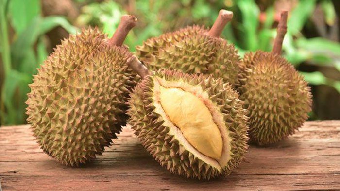 Bahayakah makan durian terlalu banyak?