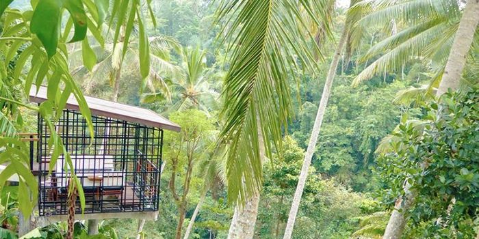 Dengan nama Hoshinoya Bali, Hoshinoya Resorts resmi membuka resort di Ubud pada 20 Januari 2017.
