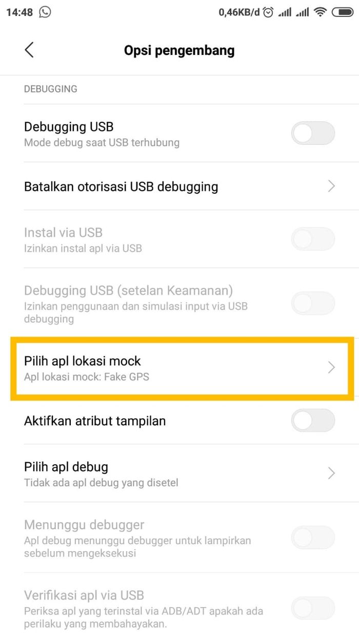 Setting opsi pengembang
