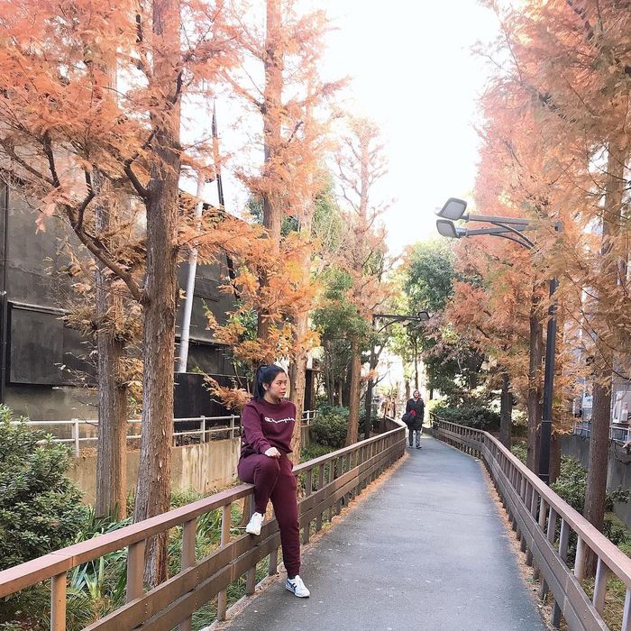 Rena berada di Jepang