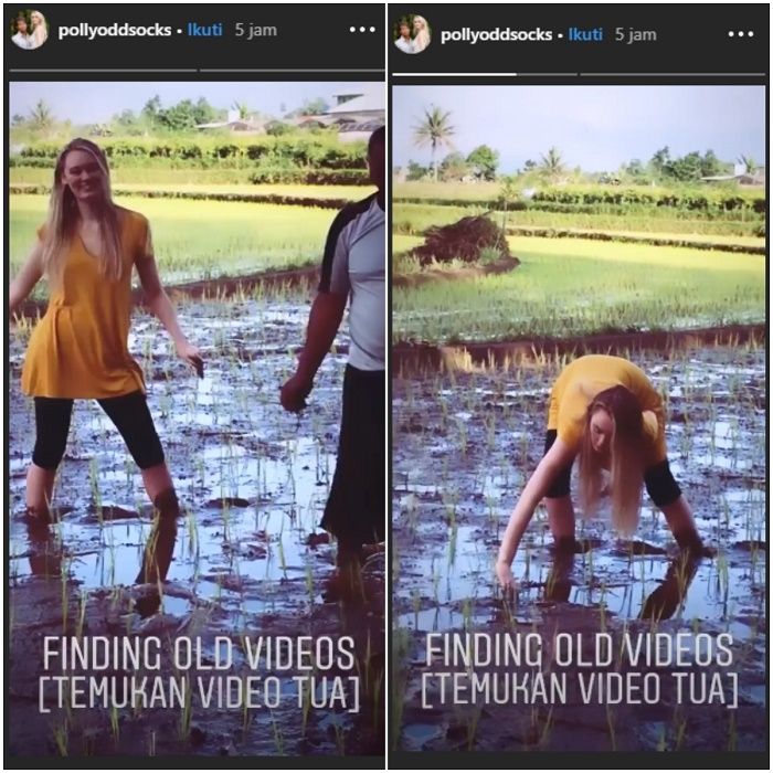 Polly Alexandria Robinson, istri bule <a href='https://pontianak.tribunnews.com/tag/nur-khamid' title='Nur Khamid'>Nur Khamid</a> yang belajar menanam padi di sawah