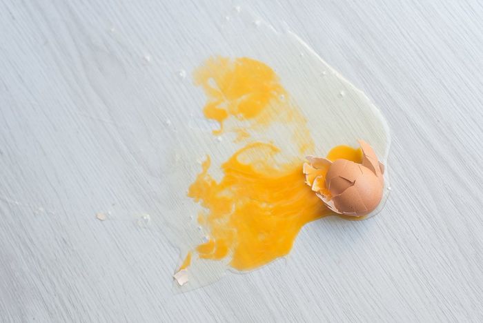 Cangkang telur dapat membuat hama menyingkir dari <a href='https://bangka.tribunnews.com/tag/tanaman' title='tanaman'>tanaman</a>.