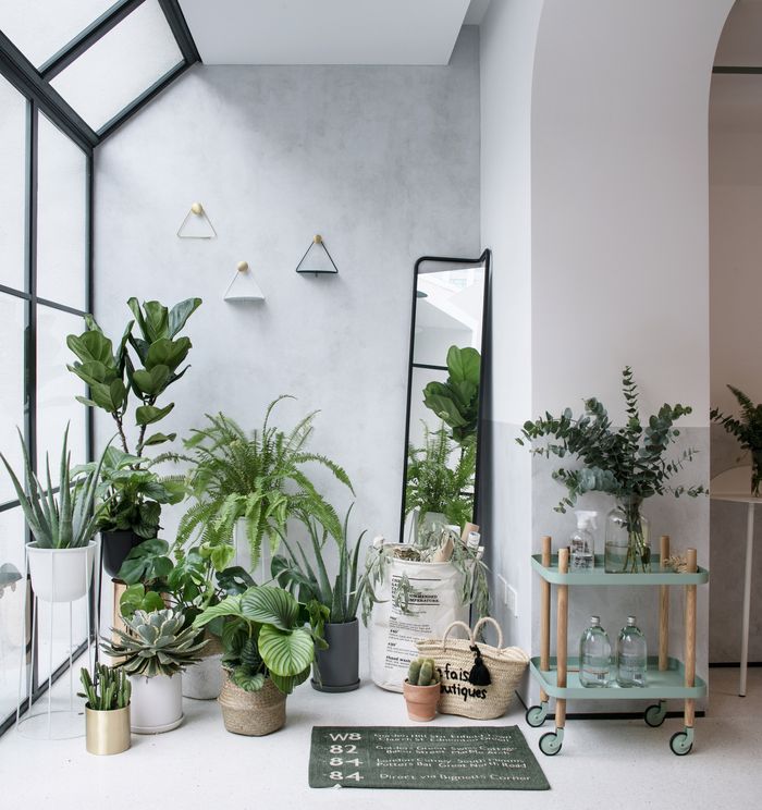 Furnitur Modular Mungkinkan Rumah Berkembang Bersama Penghuninya