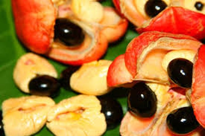 
Ackee, 1 dari 7 makanan paling berbahaya lainnya yang dikonsumsi orang.