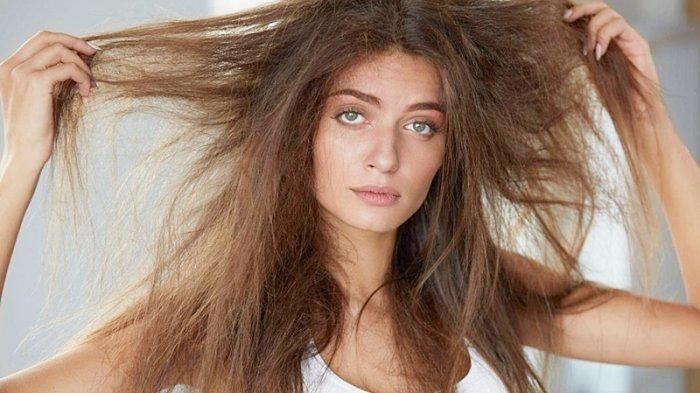 Cara merawat rambut kering
