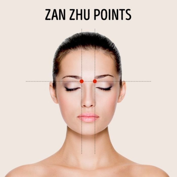 Zan Zhu