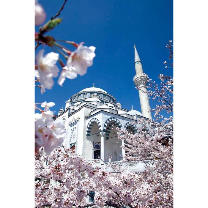 Potret Masjid Camii Tokyo