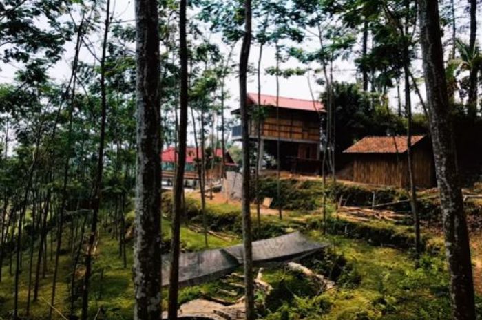 Kini Kaya Raya, Dodit Mulyanto Punya Rumah Seluas 6.000 Meter di Tengah Hutan, Dekat Peninggalan Belanda dan Ada Arena Pacuan Kuda!