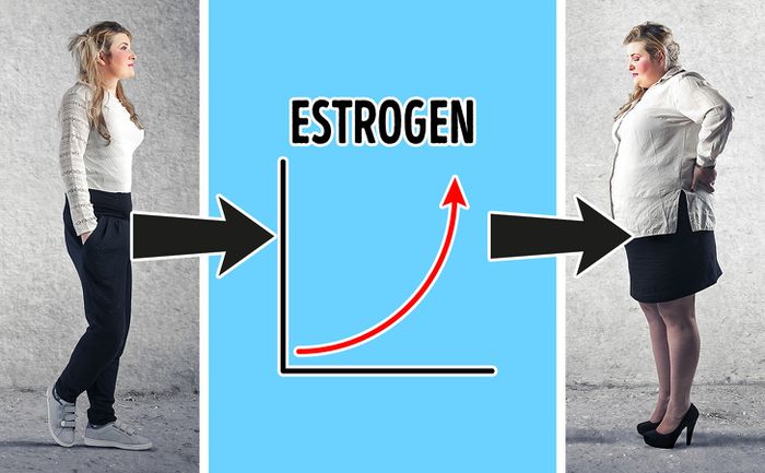 Hormon yang dapat menaikan berat badan