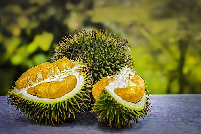 Durian buah berduri harum baunya, lezat dagingnya. Tapi 3 orang ini jangan coba-coba durian jika tak ingin celaka.