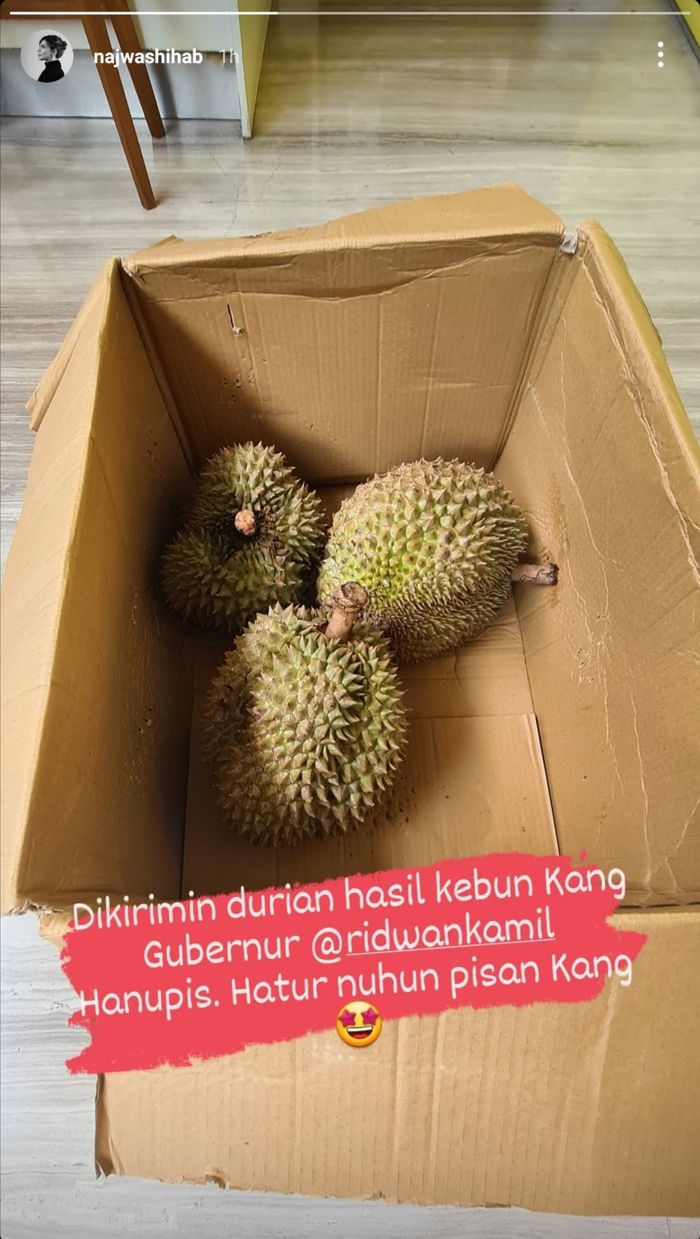 Najwa Shihab dikirimkan durian oleh Gubernur Jawa Barat, Ridwan Kamil.