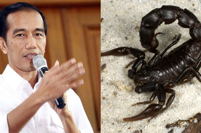 Jokowi