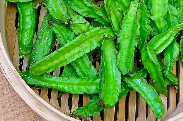 7 manfaat mengonsumsi sayuran hijau kecipir untuk kesehatan tubut dan kecantikan kulit