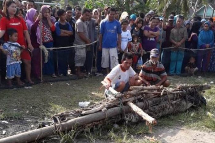 Warga Desa Pugul Riausilip, Bangka sedang menyaksikan buaya yang dijemur di lapangan bola setelah membunuh seorang pemuda.