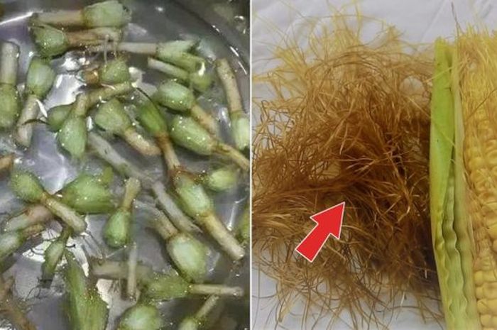 Rambut jagung dapat membantu menurunkan kadar gula darah pixabay