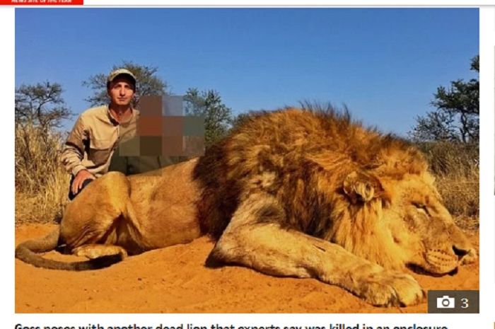 Alex Goss, pemilik Blackthorn Safaris, jasa layanan olahraga berburu di Afrika Selatan, berpose dengan singa yang merupakan target buruan.