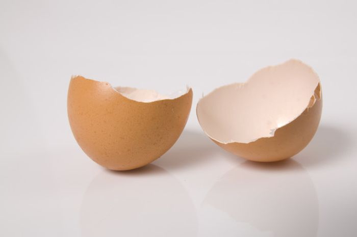 Cangkang telur ternyata punya banyak manfaat untuk kesehatan di masa depan.