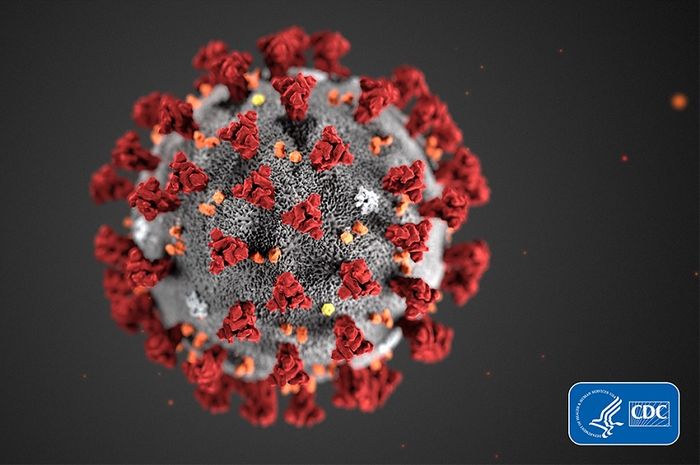 Virus SARS-CoV-2 virus, juga disebut novel coronavirus, menyebabkan Covid-19.