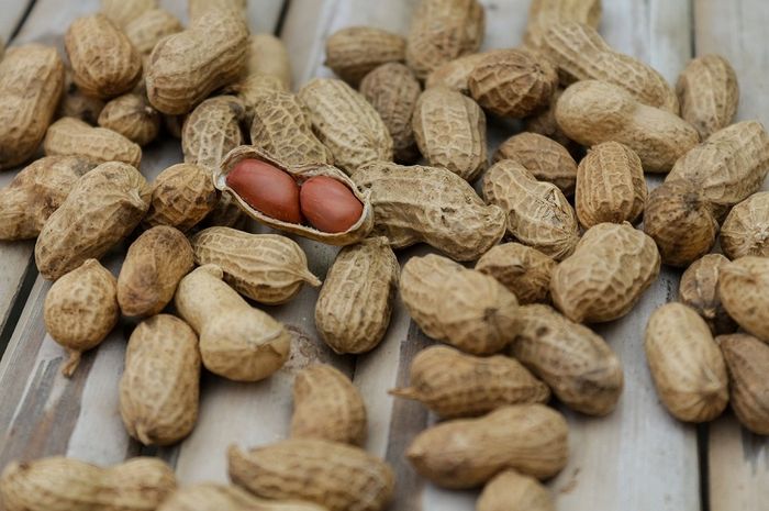 Ilustrasi manfaat rutin makan kacang tanah