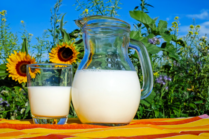 Susu basi yang ada di rumah bisa dimanfaatkan untuk pupuk tanaman.