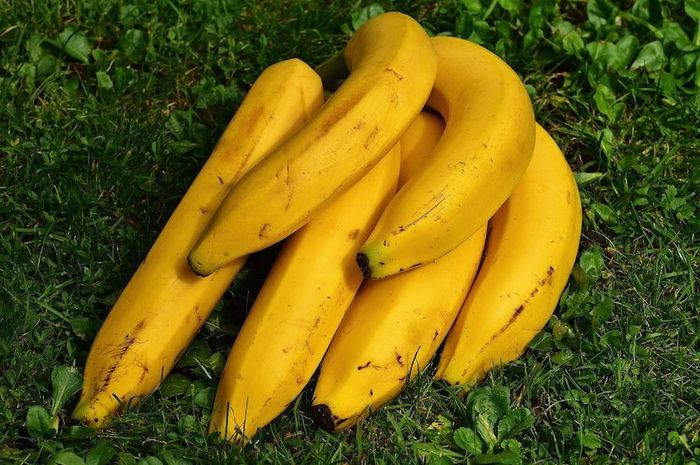 Cara membuat pisang lebih cepat matang bisa dilakukan dengan beberapa cara.